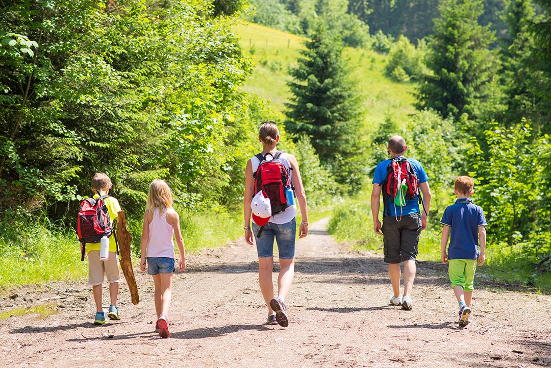 Family hikes away on a sunlit forest path, children carrying sticks.